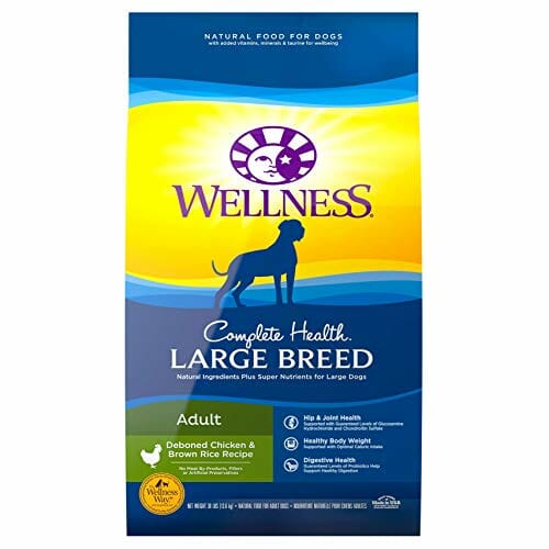 Wellness Complete Health Natural Large Breed