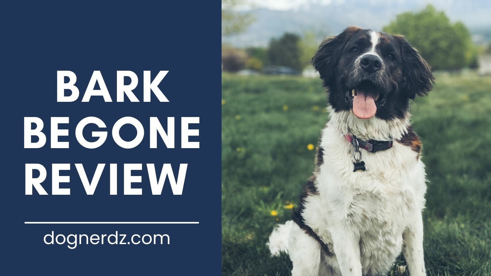 review of bark begone dog trainer