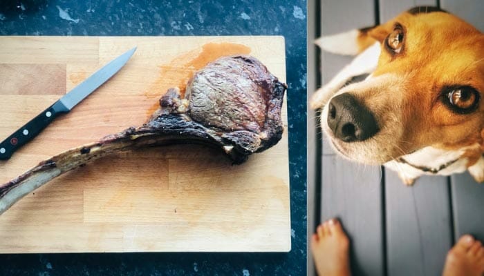 The Best Way To Feed Pork To A Dog