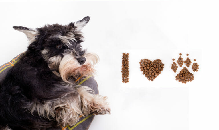 Best Dog Food for Miniature Schnauzers (2022 Review Updated)