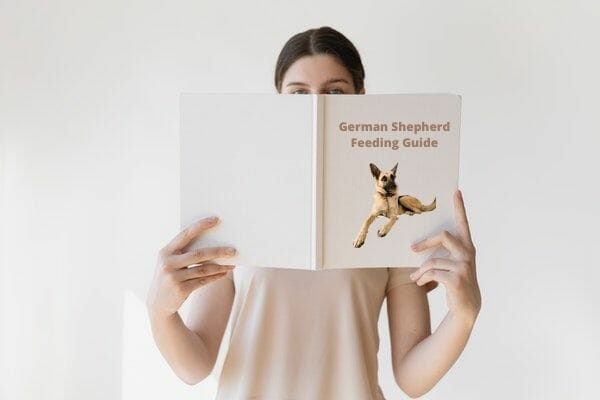 German Shepherd Feeding Guide