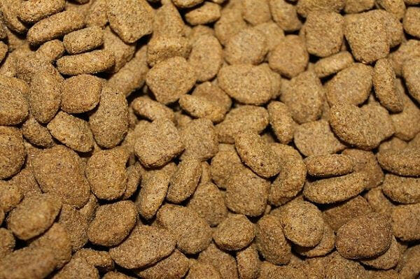 Types of Puppy Dog Food