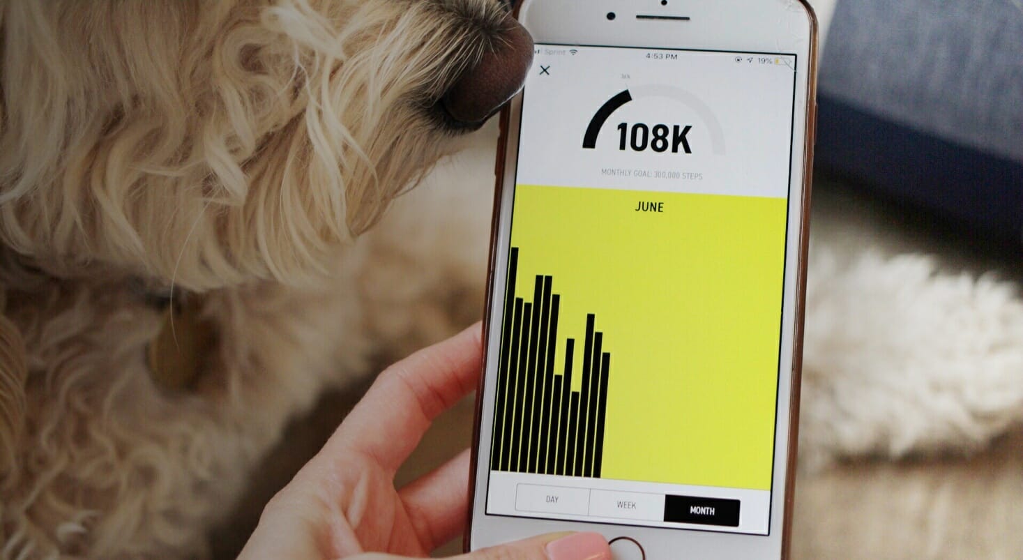 Fi Smart Dog Collar App
