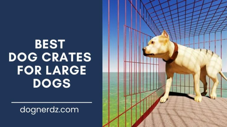 reviews of the best dog crates for large dogs
