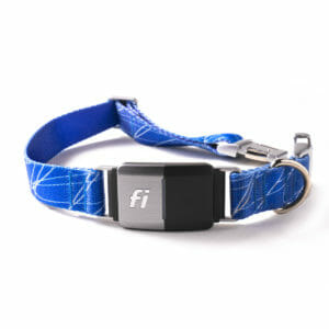 Fi Dog Collar - Blue