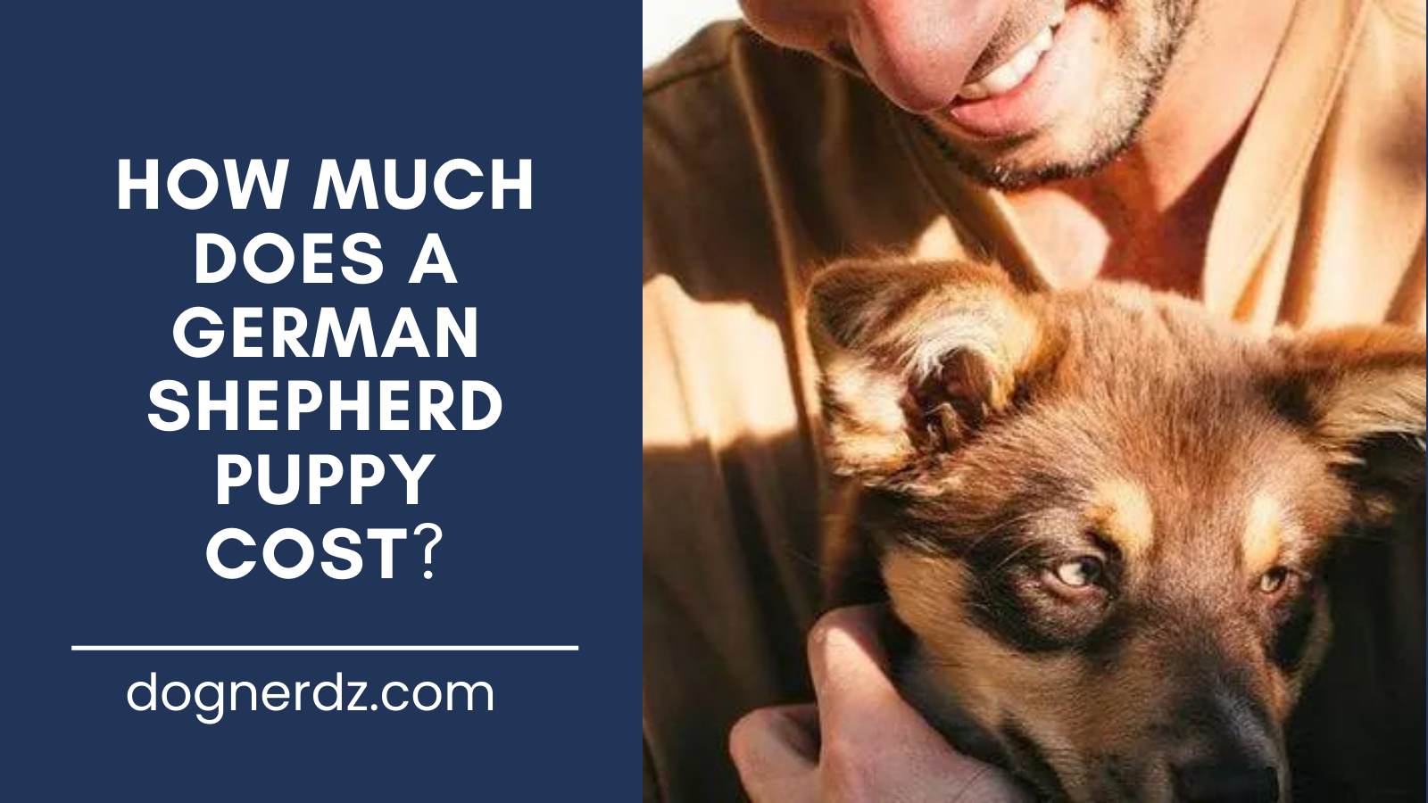 guide on how much does a german shepherd puppy cost