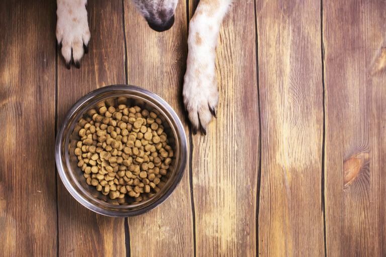 The Impact of Cooking Methods on Dog Food Nutrition