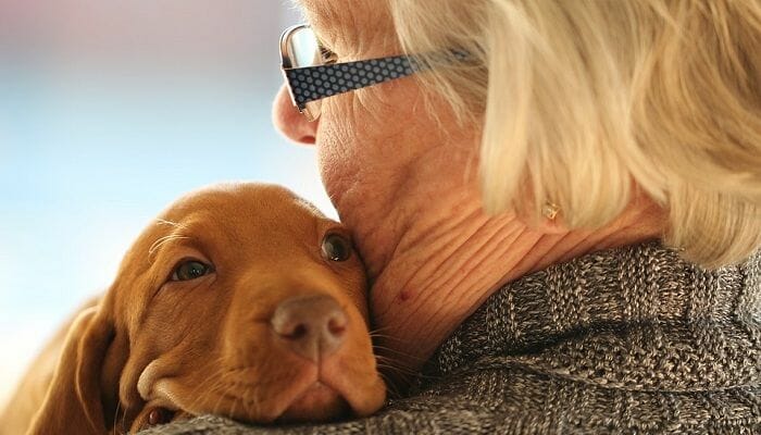 Benefits of Dogs for Senior Citizens