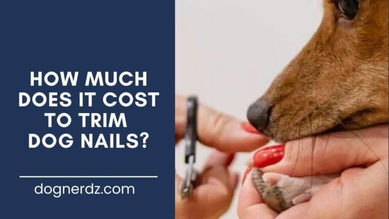 guide on how much does it cost to trim dog nails