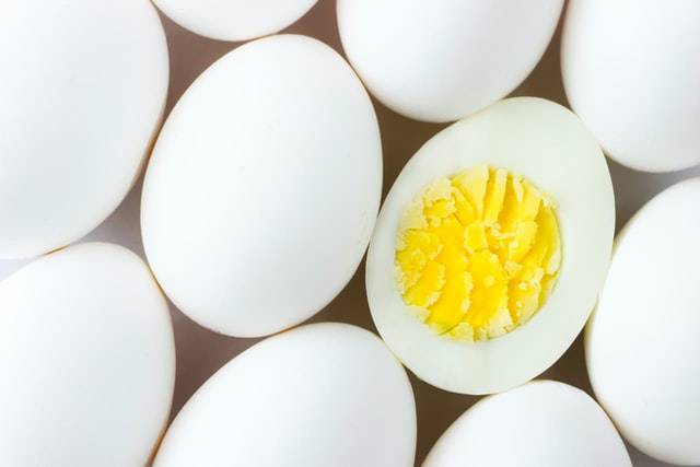 boiled eggs to feed dog with upset stomach