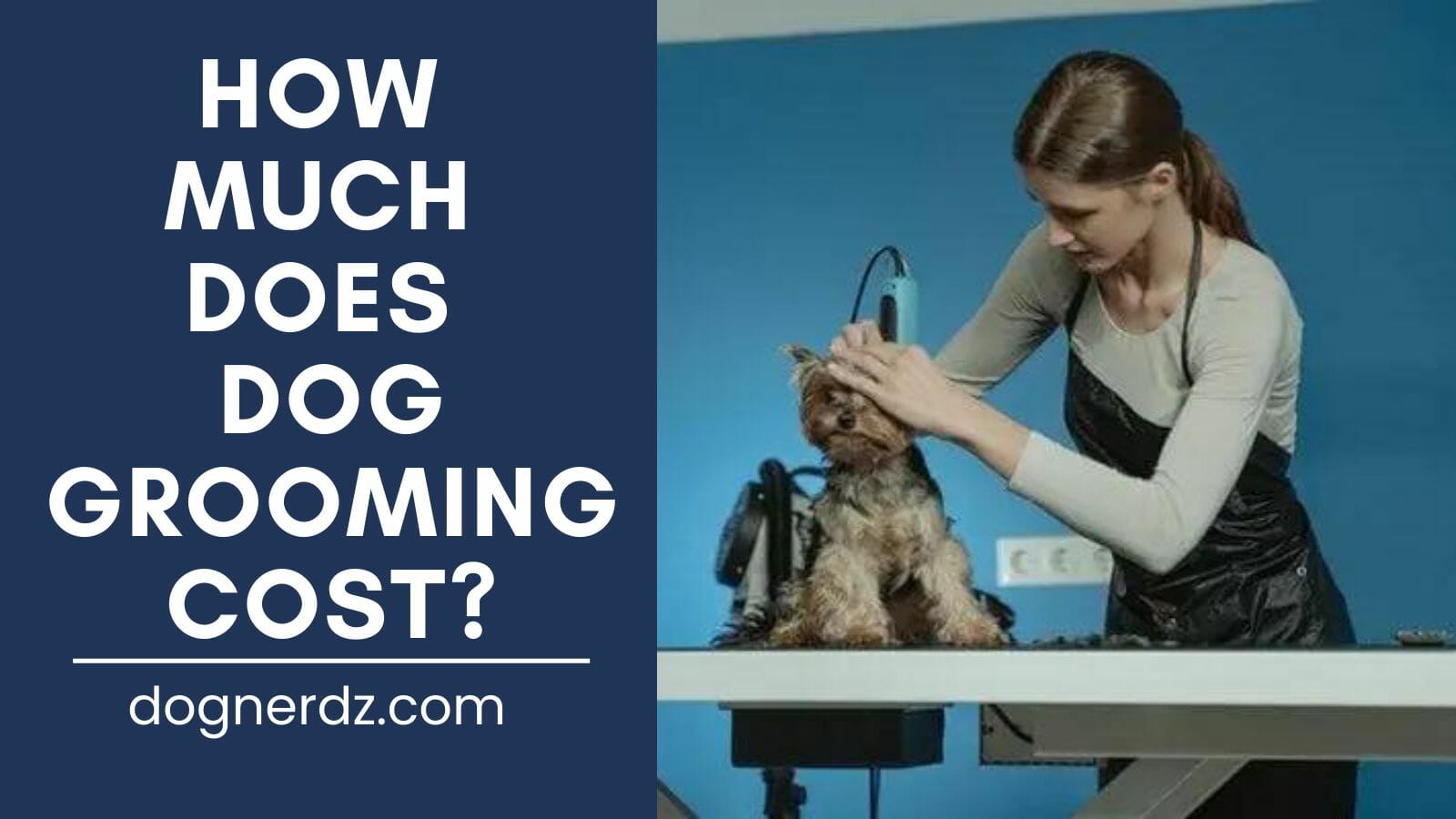 dog grooming cost by a professional dog groomer
