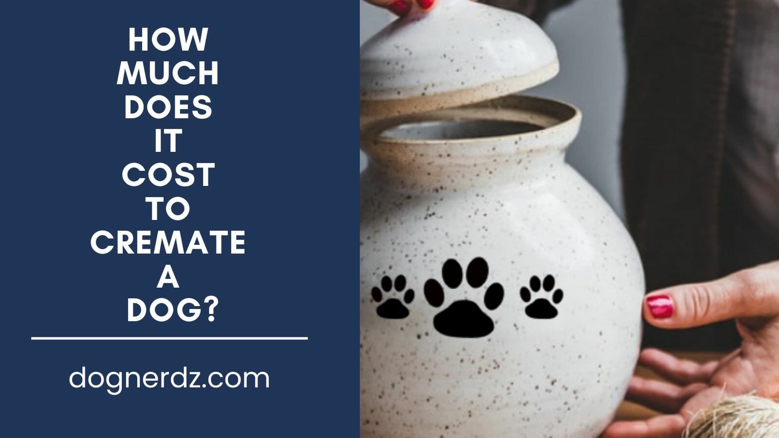 How Much Does It Cost to Cremate a Dog?