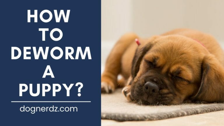 How to Deworm a Puppy?