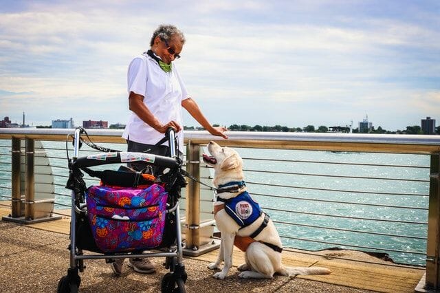 registered service dog for person with disability