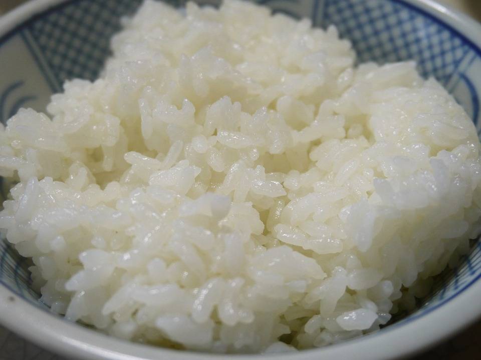 white rice can be feed to dogs with upset stomach