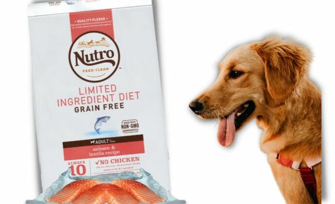 about nutro dog food