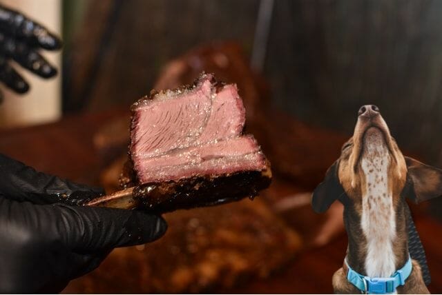 cooked steak for a dog