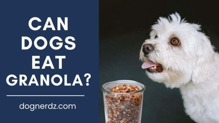 Can Dogs Eat Granola?