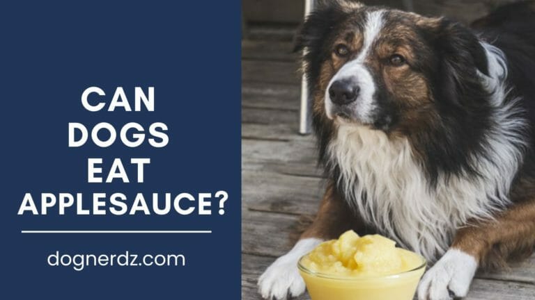 can dogs eat applesauce?