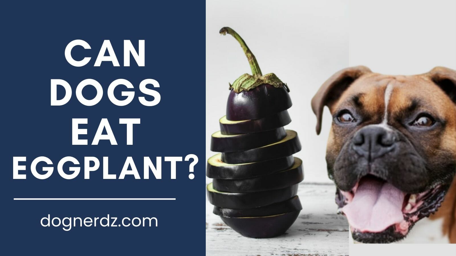 can dogs eat eggplant?