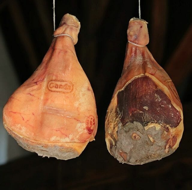 ham hocks can't be eaten by dogs