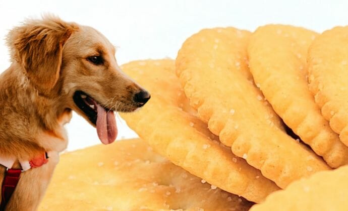 can dogs eat salted crackers