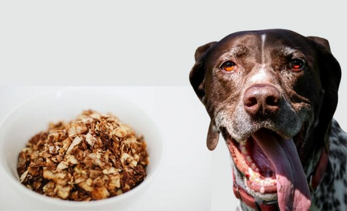 everything you need to know about granola and dogs