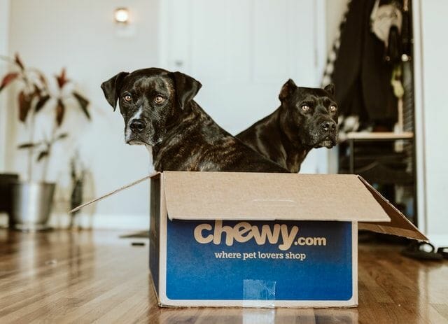 nutro dog food from chewy