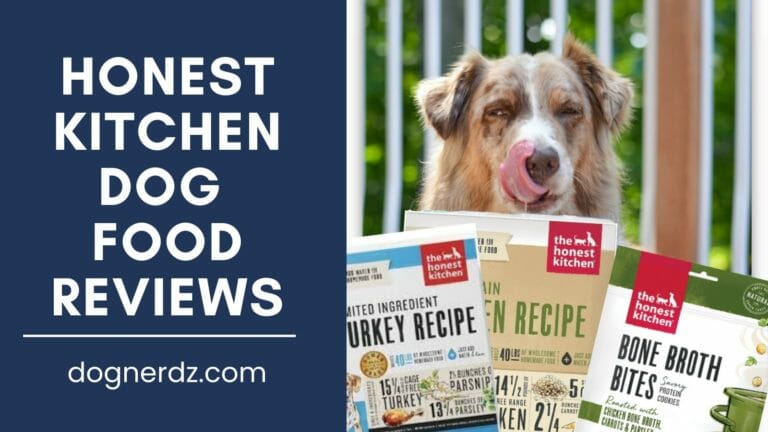 The Honest Kitchen Dog Food Reviews