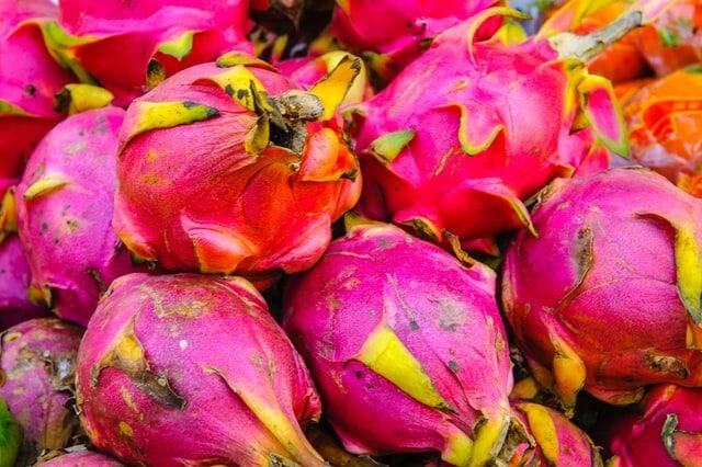 types of dragon fruit that can dogs eat