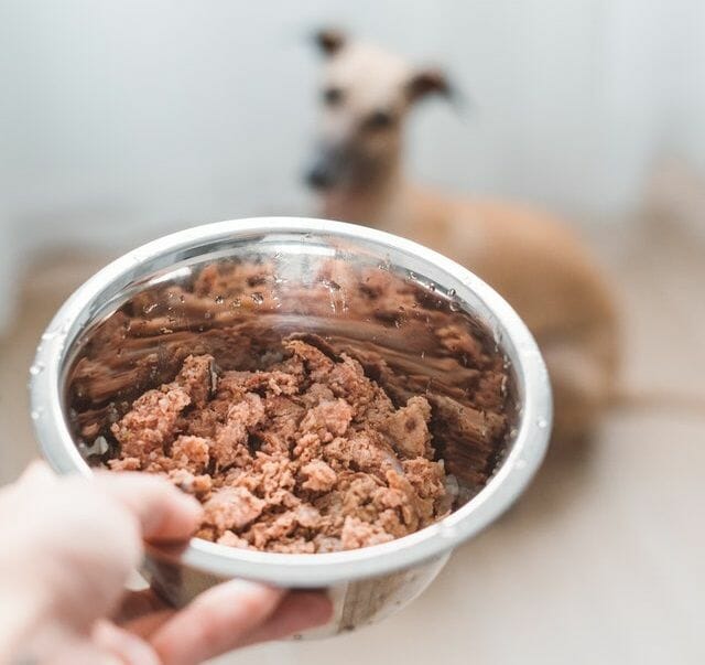 authority dog food reviews ingredients