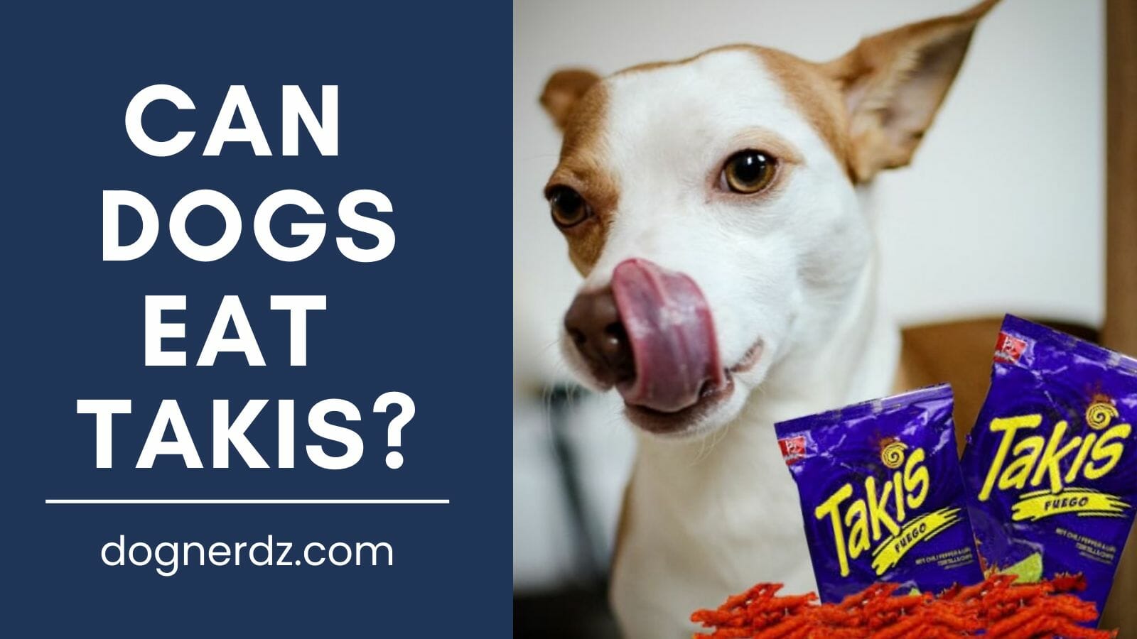 can dogs eat takis?
