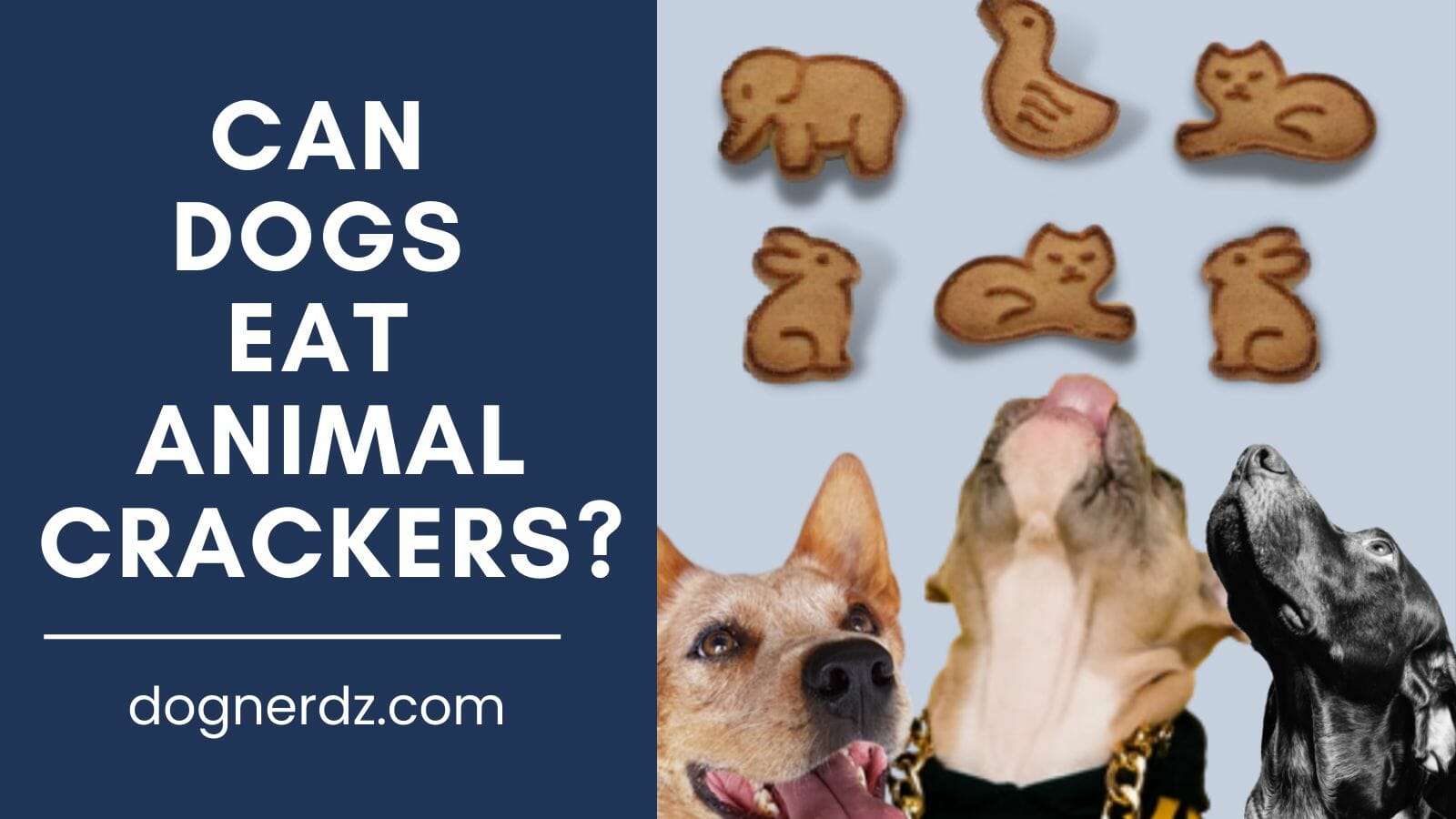 can dogs eat animal crackers?