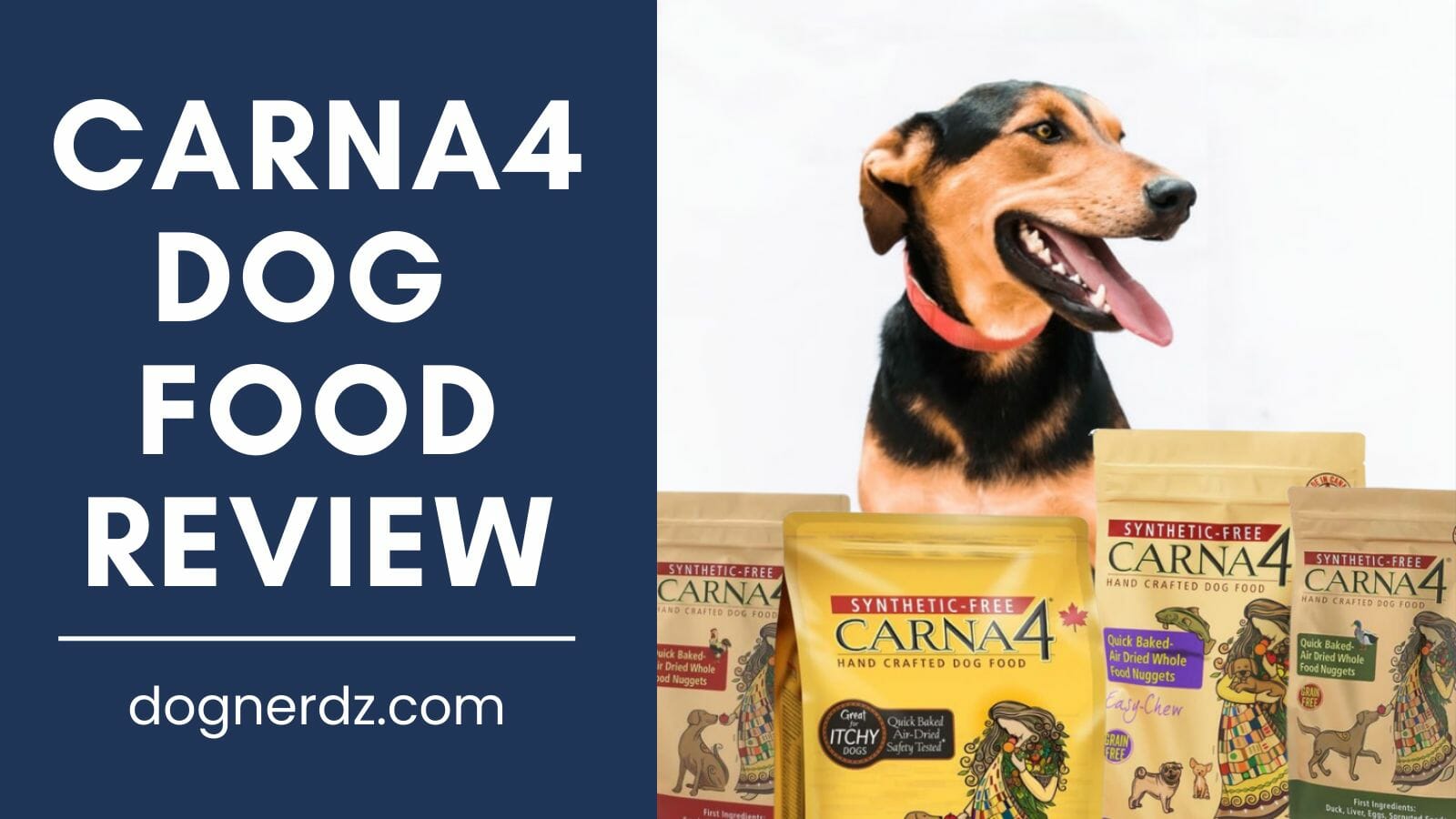 carna4 dog food review