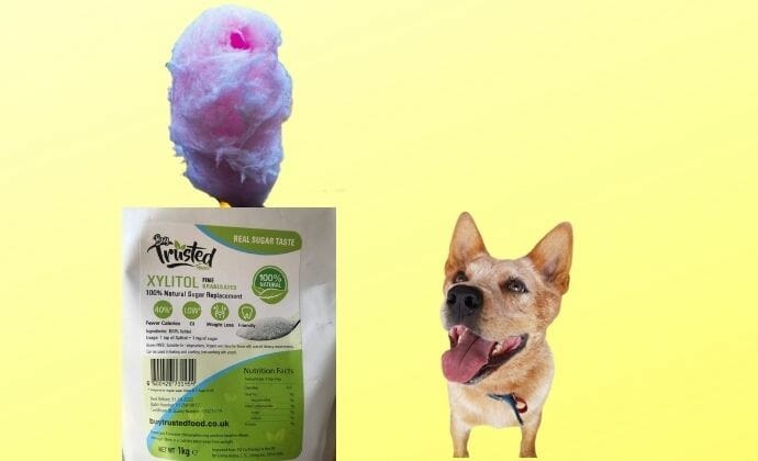 does cotton candy have xylitol