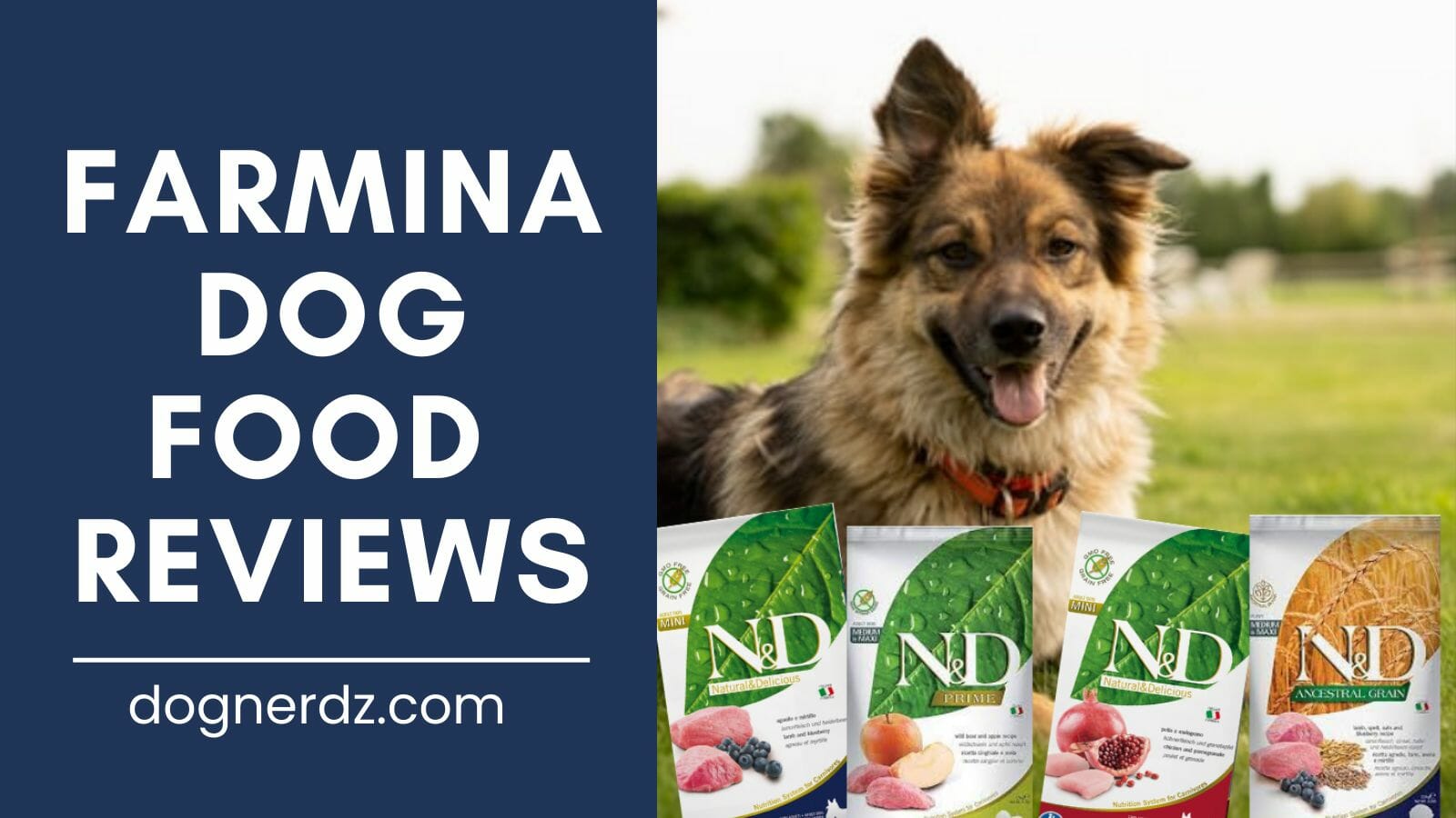 farmina dog food reviews