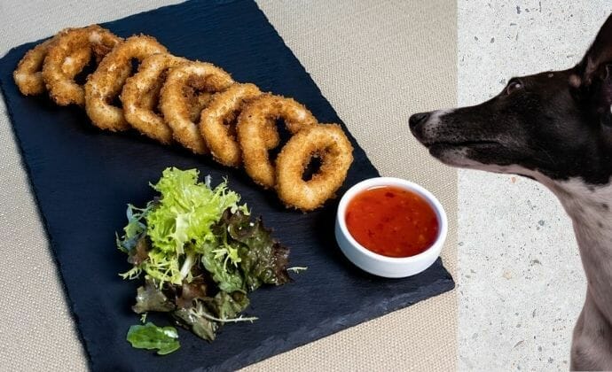 is it safe for dogs & puppies to have calamari & squid