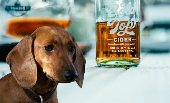 is there any type of vinegar that is bad for dogs