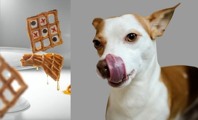 is waffle safe for dogs