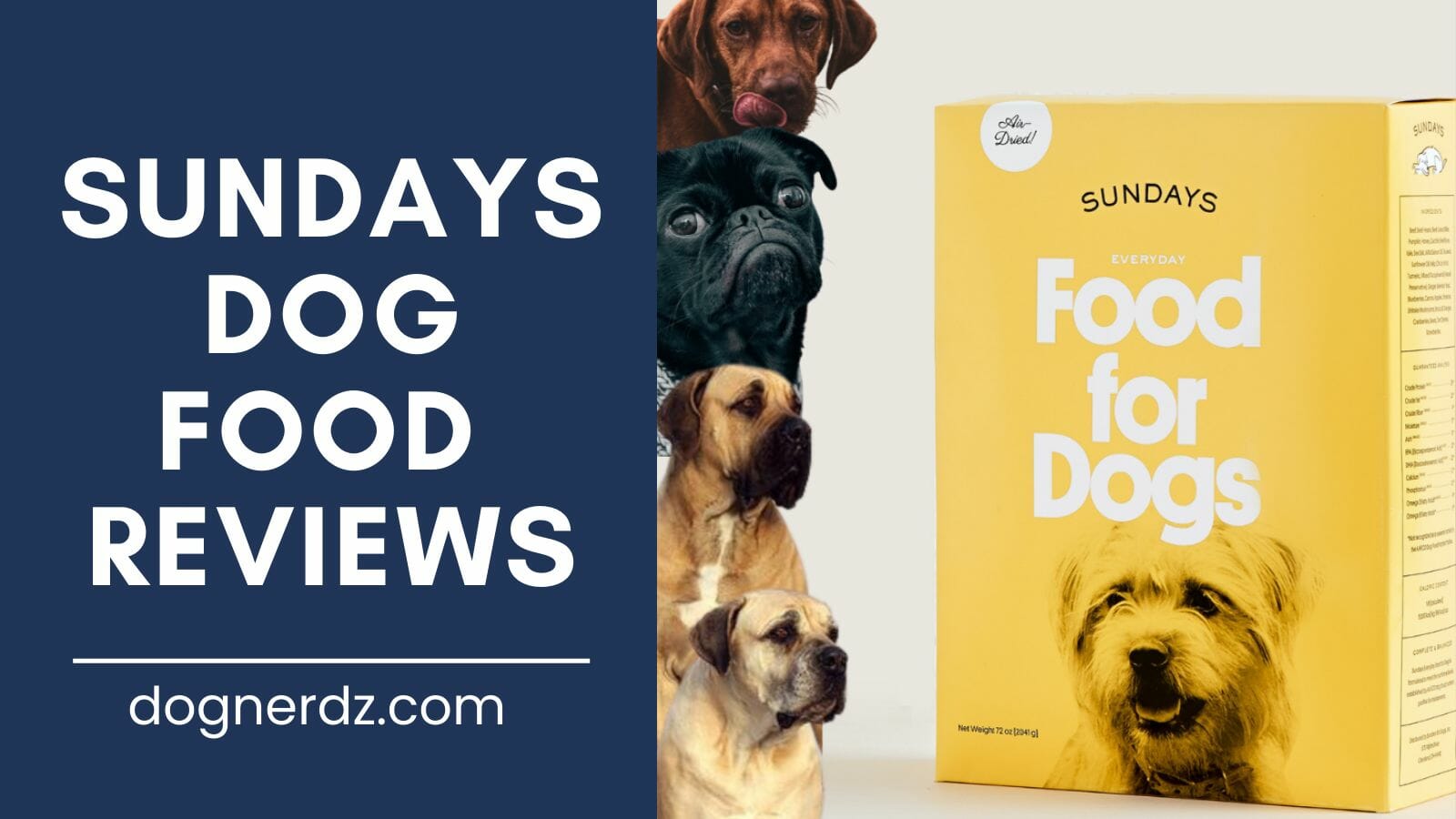sundays dog food reviews