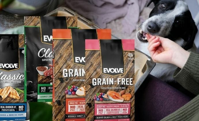 where is evolve dog food made