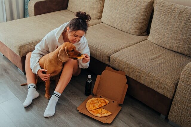 why pizza crusts are bad for dogs