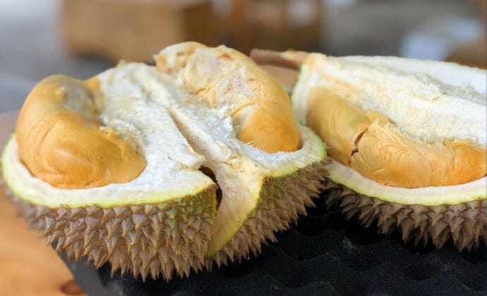 Benefits of Giving Your Dog Durian Fruit