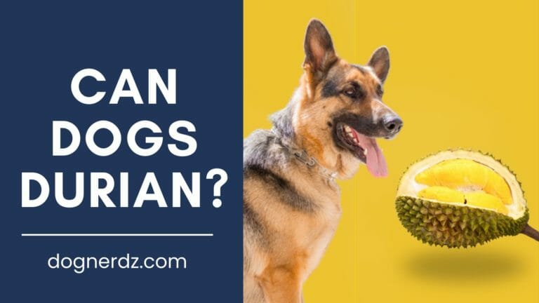 Can Dogs Eat Durian?