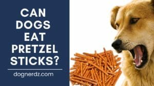 can dogs eat pretzel sticks?