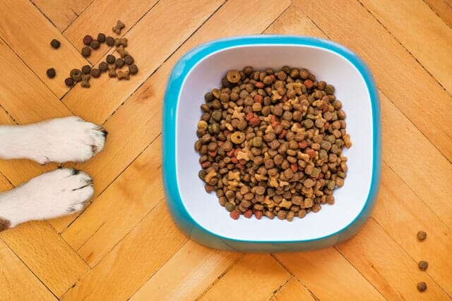 buyer's guide on the best dog foods for bulldogs