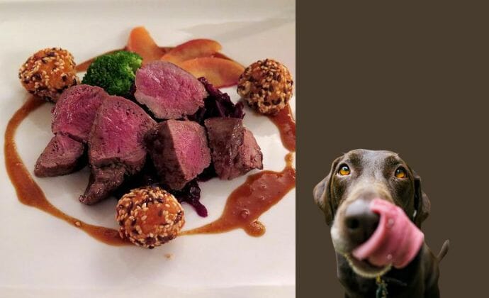 How Do You Cook Deer Meat for Dogs?