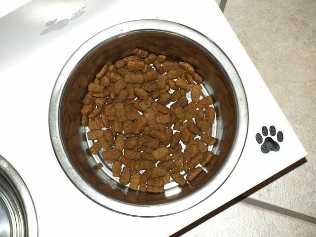 Dog Food Bowl with Larger Kibbles
