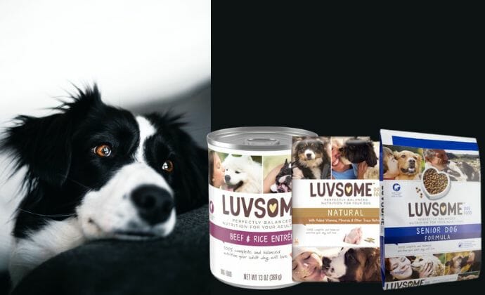 luvsome dog food history