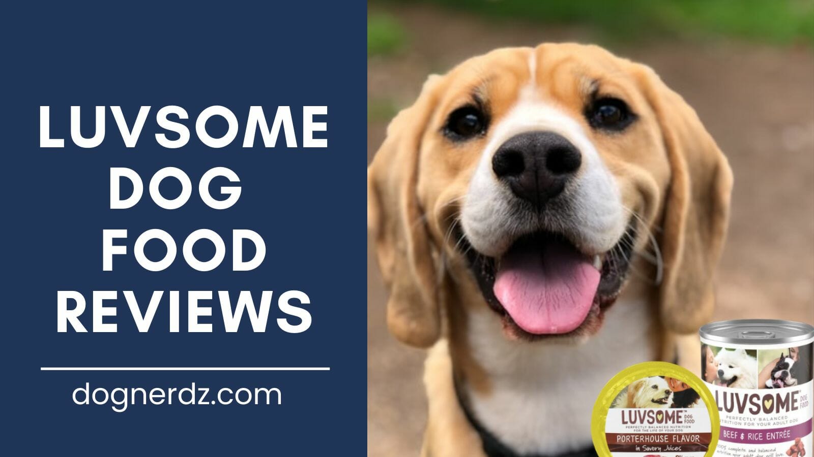 luvsome dog food reviews